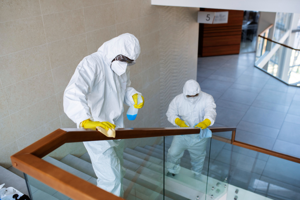 Premium Pest Control Services in Aerocity Delhi - SKUAS treating luxury hotels and restaurants