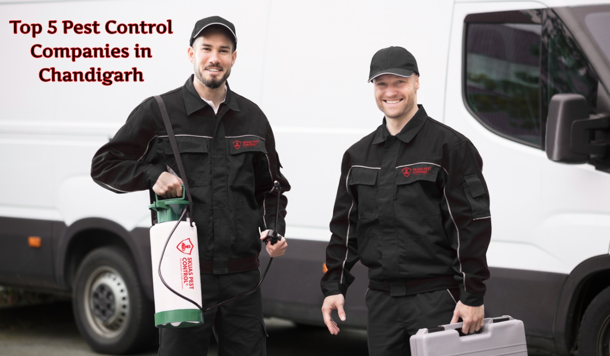 Top 5 Pest Control Companies in Chandigarh