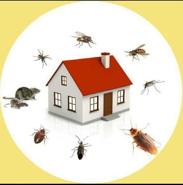 Best Pest Control Services in Delhi NCR – Safe & Effective Solutions