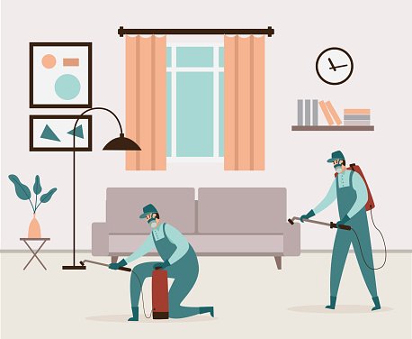 Pest Control in Delhi: Keeping Your Home and Business Pest-Free