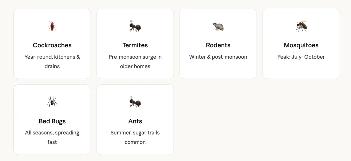 Most Googled Pest Control Questions in Delhi (illustration 1)