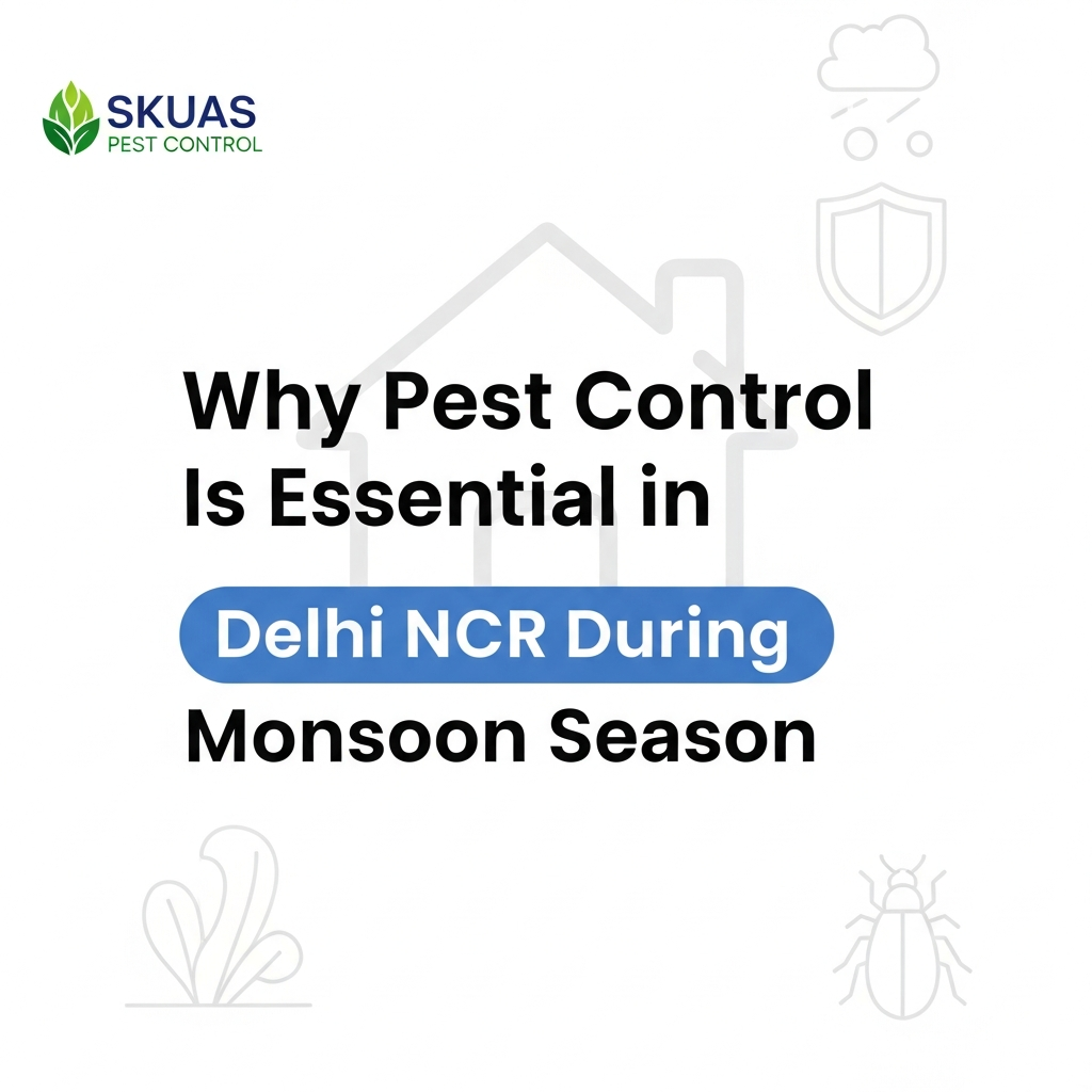 Why Pest Control Is Essential in Delhi NCR During Monsoon Season