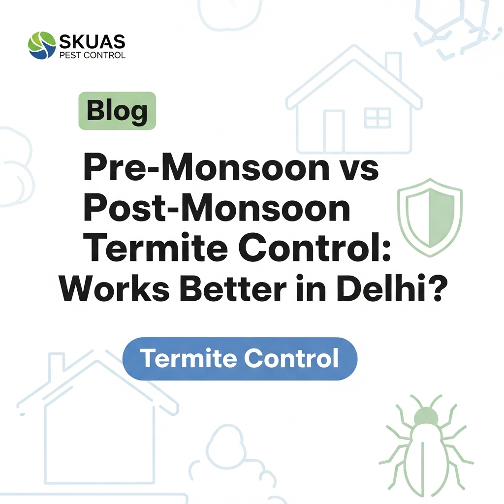 Pre-Monsoon vs Post-Monsoon Termite Control: What Works Better in Delhi?