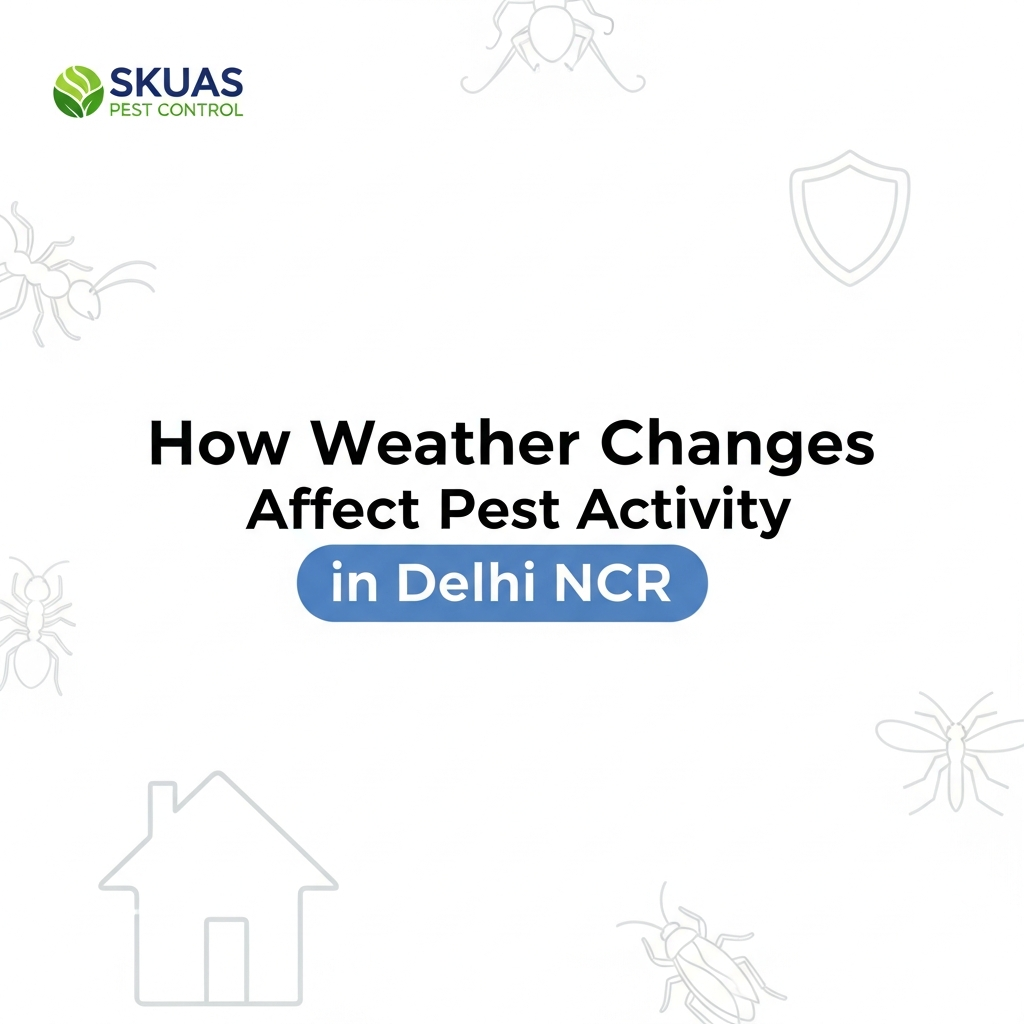 How Weather Changes Affect Pest Activity in Delhi NCR