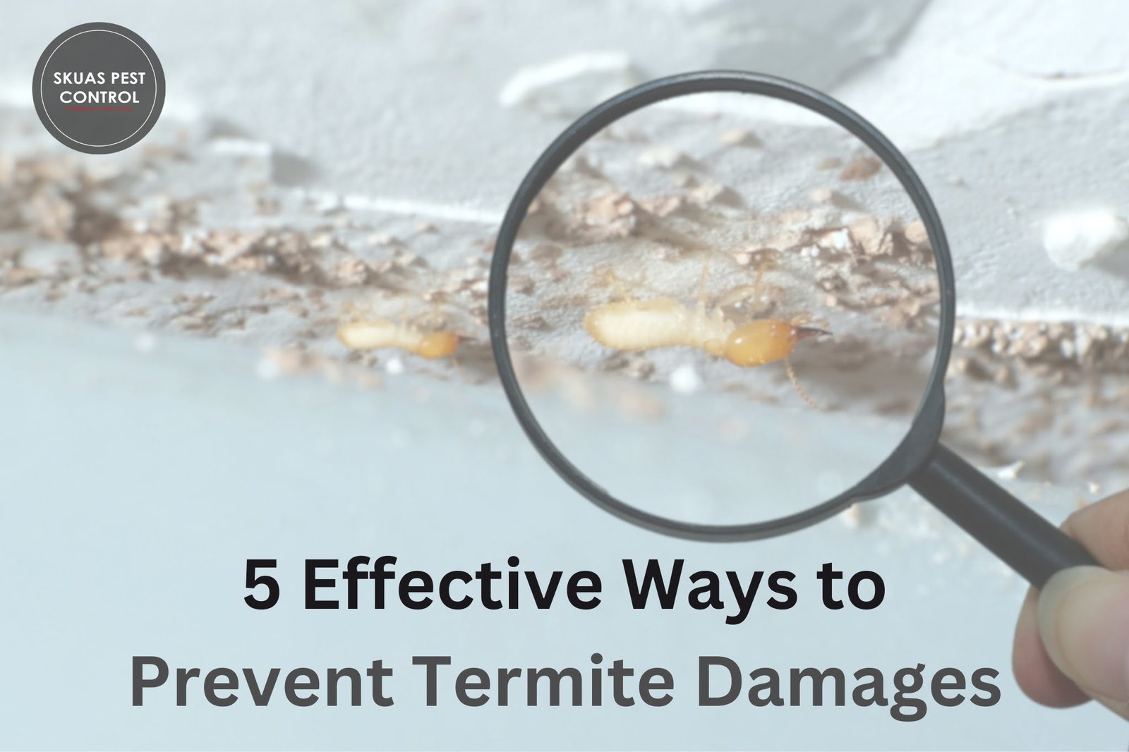 effective-way-to-control-termite-skuas