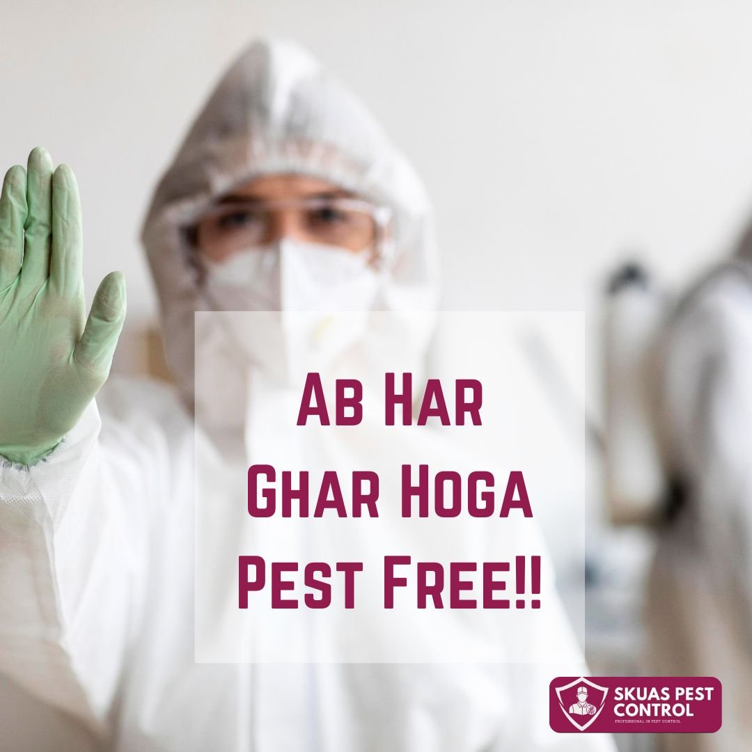 pest-control-in-greater-kailash-delhi