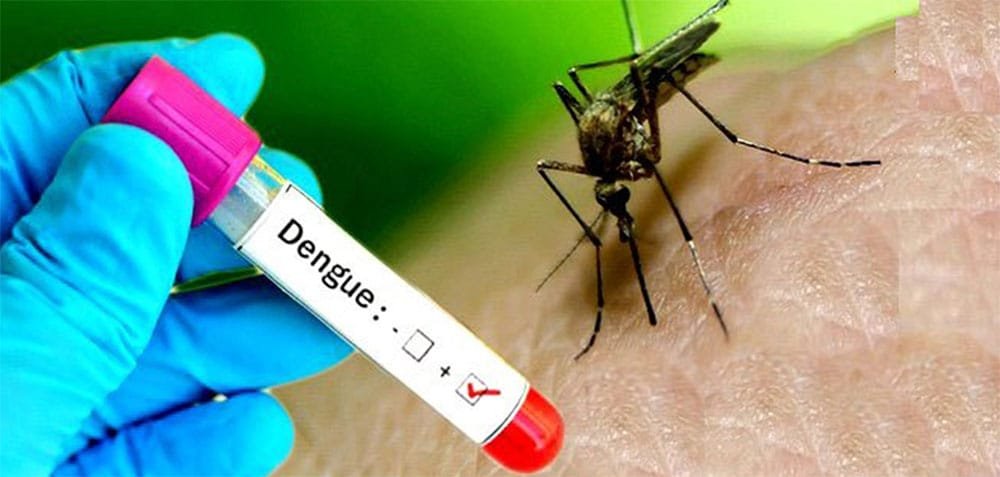 Dengue Cases