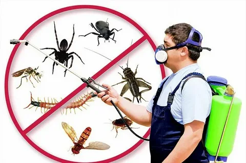 Top Pest Control Service in Delhi NCR